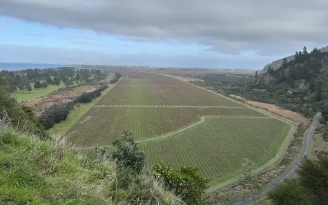 Photograph of Rarangi, a few minutes drive from Blenheim, Marlborough, New Zealand, looking down on vineyards and the Pacific Ocean.